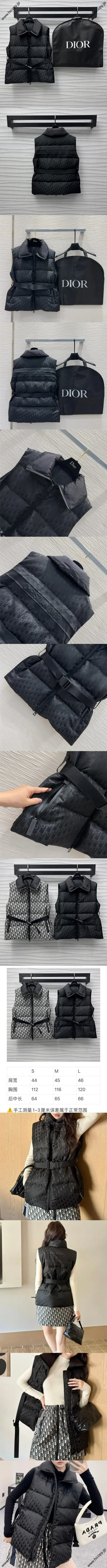 ディオール アルプス カプセルコレクション ブラックモノグラム スタンドカラー ダウンベスト（457C71A2762）