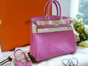 エルメスＨＥＲＭＥＳ バーキン２５ヒューシャピンク オーストリッチＳ金具 hermes-003
