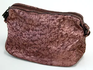 ボッテガヴェネタ BOTTEGAVENETA ポーチ　オーストリッチ 215733VK101-7612 ブロンズ