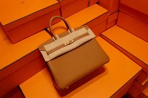 エルメス birkin 25cm Togo皮質 HMB102!