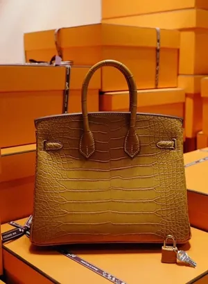 エルメス birkin 25cm HMB105!