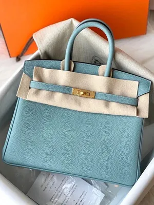 エルメス birkin 25cm Togo皮質 HMB133!