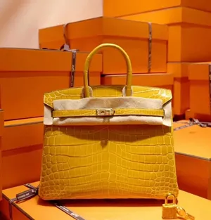 エルメス birkin 25cm HMB142!