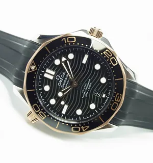 オメガ シーマスター ダイバー300M コーアクシャル マスタークロノメーター 42MM（210.22.42.20.01.002）
